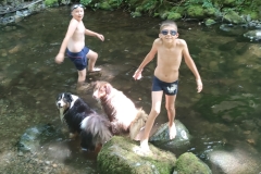 ImageGr61042