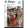 Dniepr 63