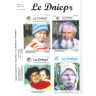 Dniepr 41